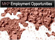 U.S. Employment Opportunites