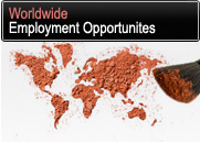 International Employment Opportuniteis